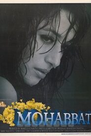 Mohabbat 1997 on netflix