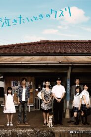 Nakitai toki no kusuri 2009 on netflix
