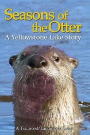 Seasons of the Otter 2010 on netflix