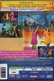 The Young Girls of Rochefort 2004 on netflix