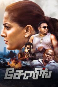 Chasing 2021 on netflix