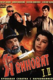 It’s My Fault 1993 on netflix