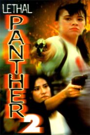 Lethal Panther 2 1993 on netflix