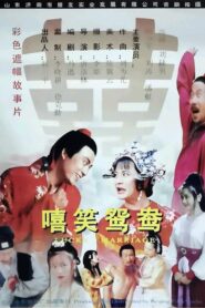 嘻笑鸳鸯 1995 on netflix