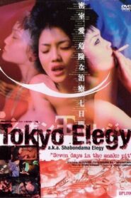 Tokyo Elegy 1999 on netflix