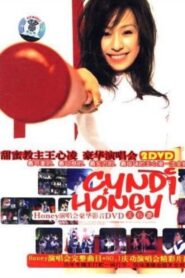 王心凌感谢Honey甜蜜庆功演唱会 2005 on netflix