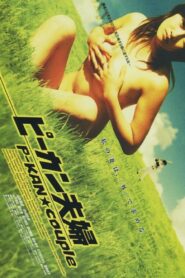 P-kan Couple 2005 on netflix
