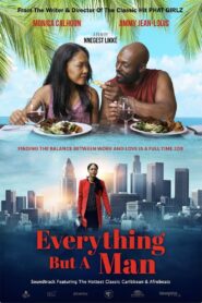 Everything But a Man 2016 on netflix