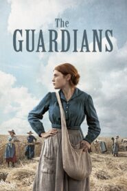 The Guardians 2017 on netflix