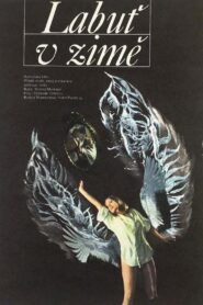 A Swan in Winter 1983 on netflix