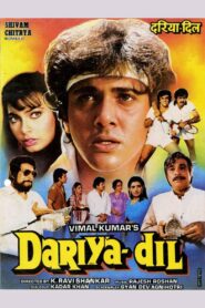 Dariya Dil 1988 on netflix