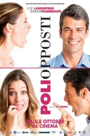 Opposites Attract 2015 on netflix