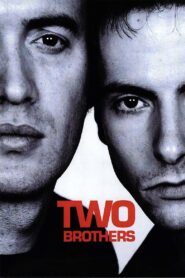 Two Brothers 2001 on netflix