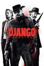 Django Unchained 2012 on netflix