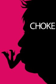 Choke 2008 on netflix
