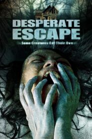 Dismal 2008 on netflix