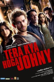 Tera Kya Hoga Johnny 2010 on netflix