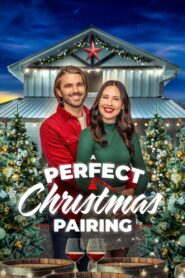 A Perfect Christmas Pairing 2023 on netflix