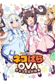 Nekopara OVA Extra 2018 on netflix