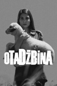 Patria 2015 on netflix