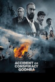 Accident or Conspiracy: Godhra 2024 on netflix