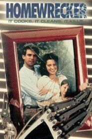 Homewrecker 1992 on netflix