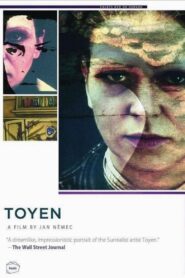 Toyen 2005 on netflix