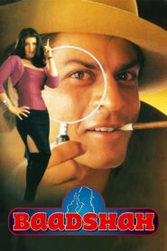 Baadshah 1999 on netflix