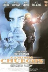 Caminos chuecos 1999 on netflix