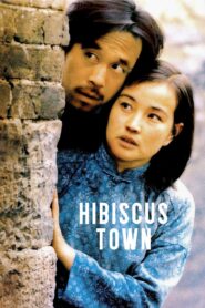Hibiscus Town 1987 on netflix