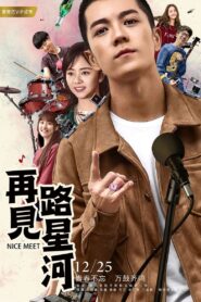 再见路星河 2017 on netflix