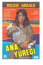 Ana Yüreği 1987 on netflix
