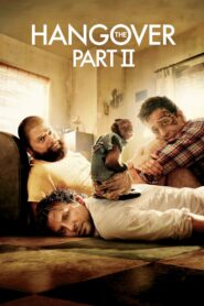 The Hangover Part II 2011 on netflix