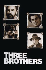 Three Brothers 1981 on netflix