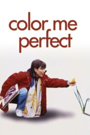Color Me Perfect 1996 on netflix