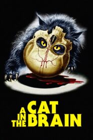 A Cat in the Brain 1990 on netflix