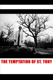 The Temptation of St. Tony 2009 on netflix