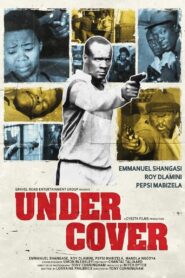 Under Cover 1980 on netflix