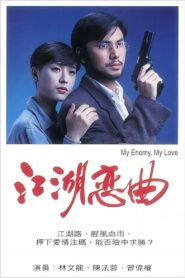 江湖恋曲 1995 on netflix