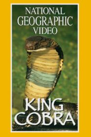 King Cobra 1997 on netflix
