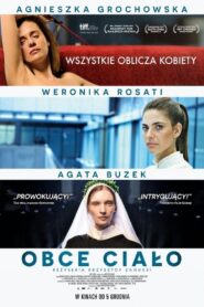 Foreign Body 2014 on netflix