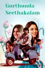Gurtunda Seetakalam 2022 on netflix