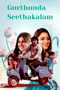 Gurtunda Seetakalam 2022 on netflix