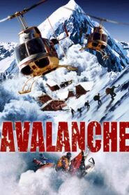 Avalanche 2004 on netflix