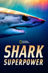 Shark Superpower 2022 on netflix