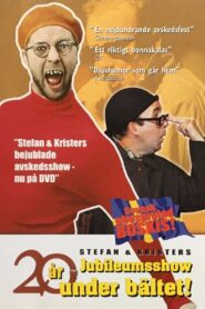 20 år under bältet 2001 on netflix