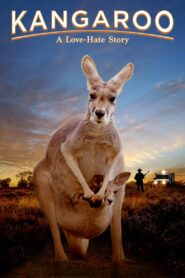 Kangaroo: A Love-Hate Story 2018 on netflix