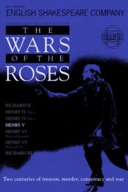 Henry V 1991 on netflix