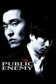 Public Enemy 2002 on netflix