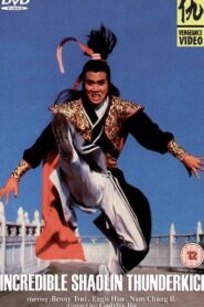 Incredible Shaolin Thunderkick 1982 on netflix
